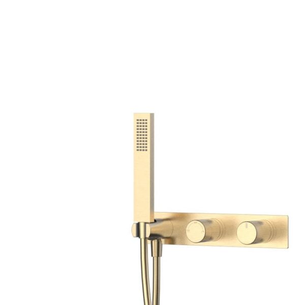 Rea Fenix Parker Concealed Shower System, Brushed Gold Finish.