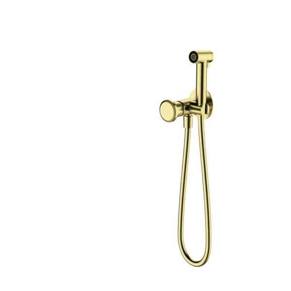Luxe Gold Concealed Bidet Shower Set