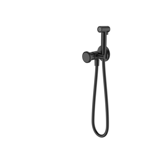 Concealed Bidet Hygienic Shower Set, Matte Black Finish.